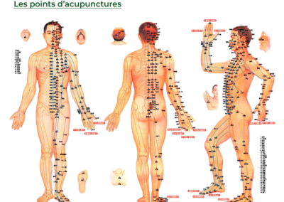 Shiatsu, les différents points d'acupuncture