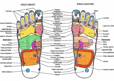 Détails des points en réflexologie plantaire